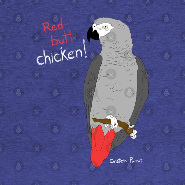 African Grey Parrot Red Butt Chicken by Einstein Parrot